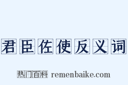 君臣佐使反义词是什么意思的图片